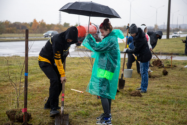 Оставь добрый след: В Благовещенске появилась новая аллея