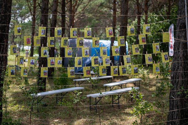 Гонка на выбывание "Backyard Ultra 2024"