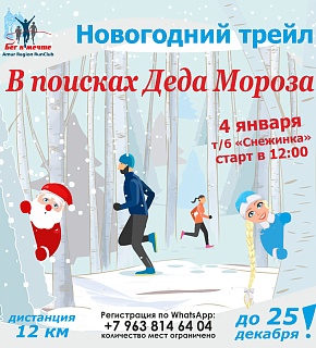 Кроссовый забег "В поисках Деда Мороза"
